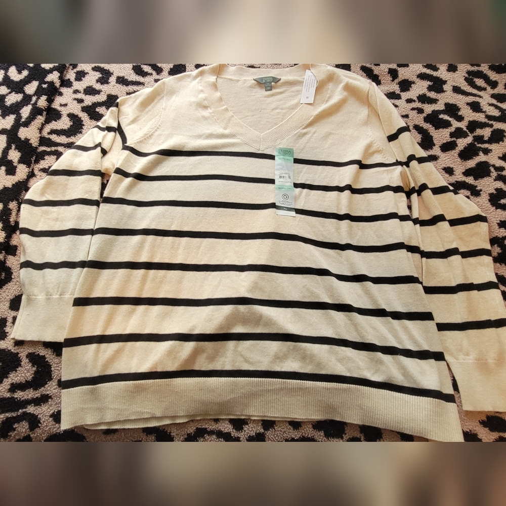 Terra & Sky Beige and Black Striped Sweater